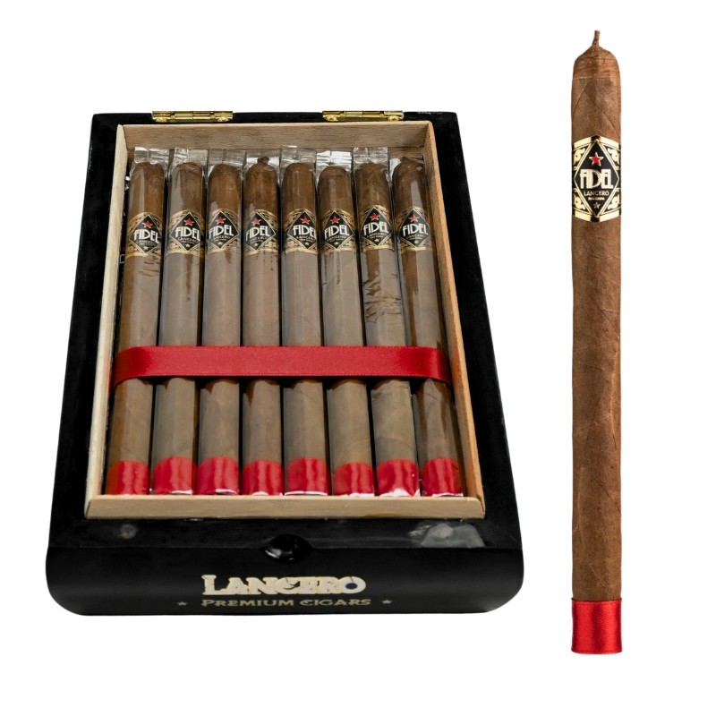 FIDEL Lancero